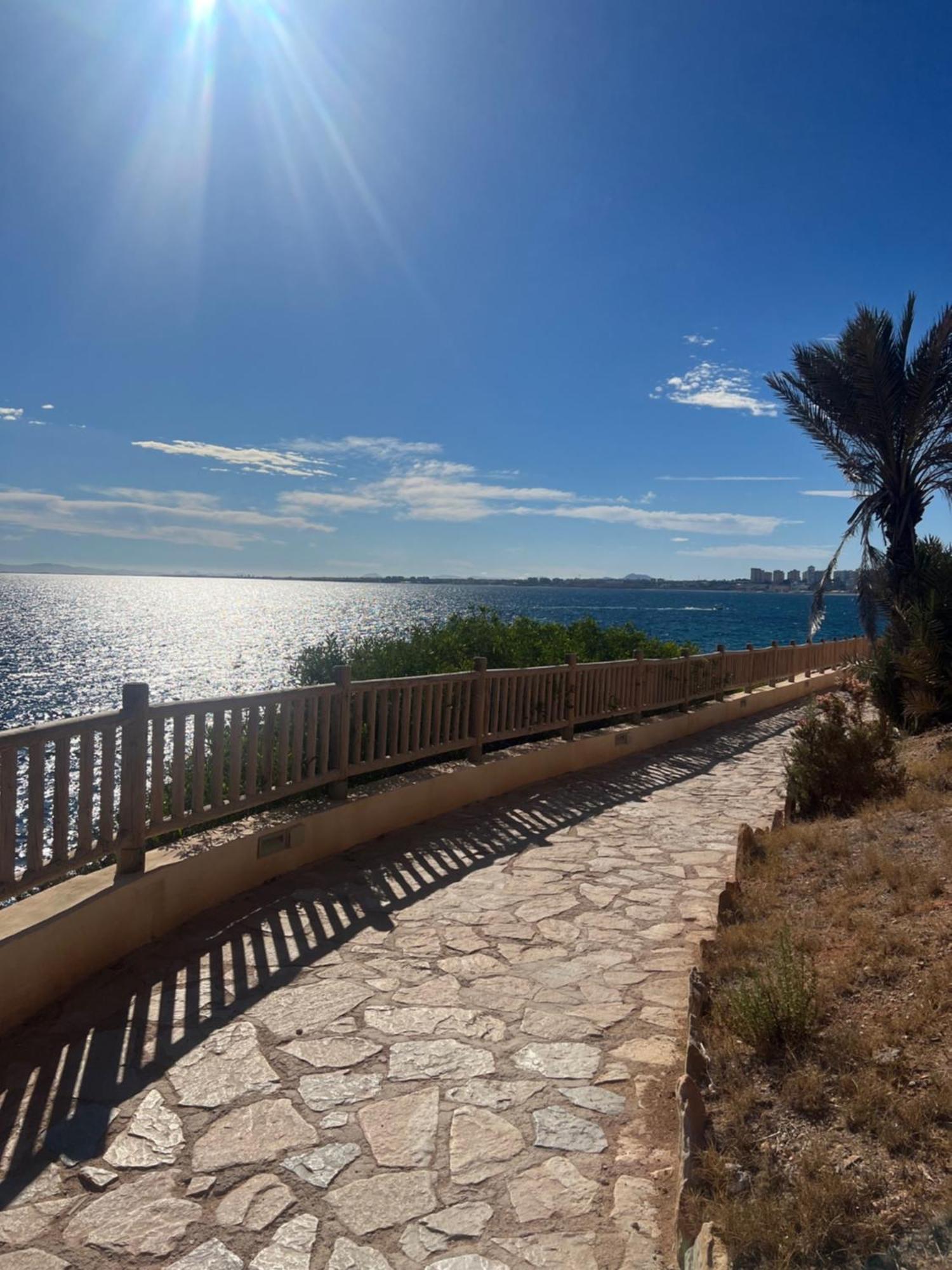 Playa Flamenca - Turquesa Del Mar - Great Sea View! 아파트 외부 사진